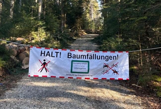 Waldweg mit Absperrplakat und Hinweis auf Baumfällungen