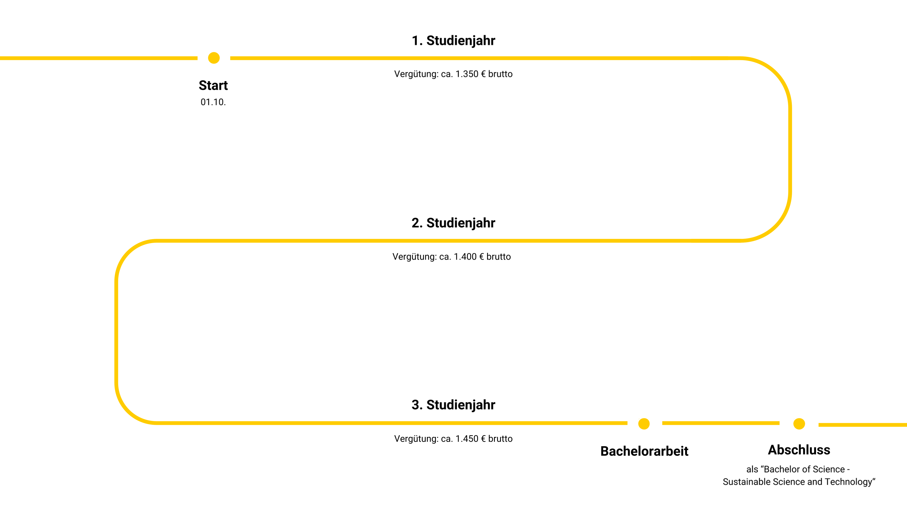 Grafik Studium Public Sustainable Science and Technology Grafik zeigt Studiumsverlauf des Studiums Sustainable Science and Technology