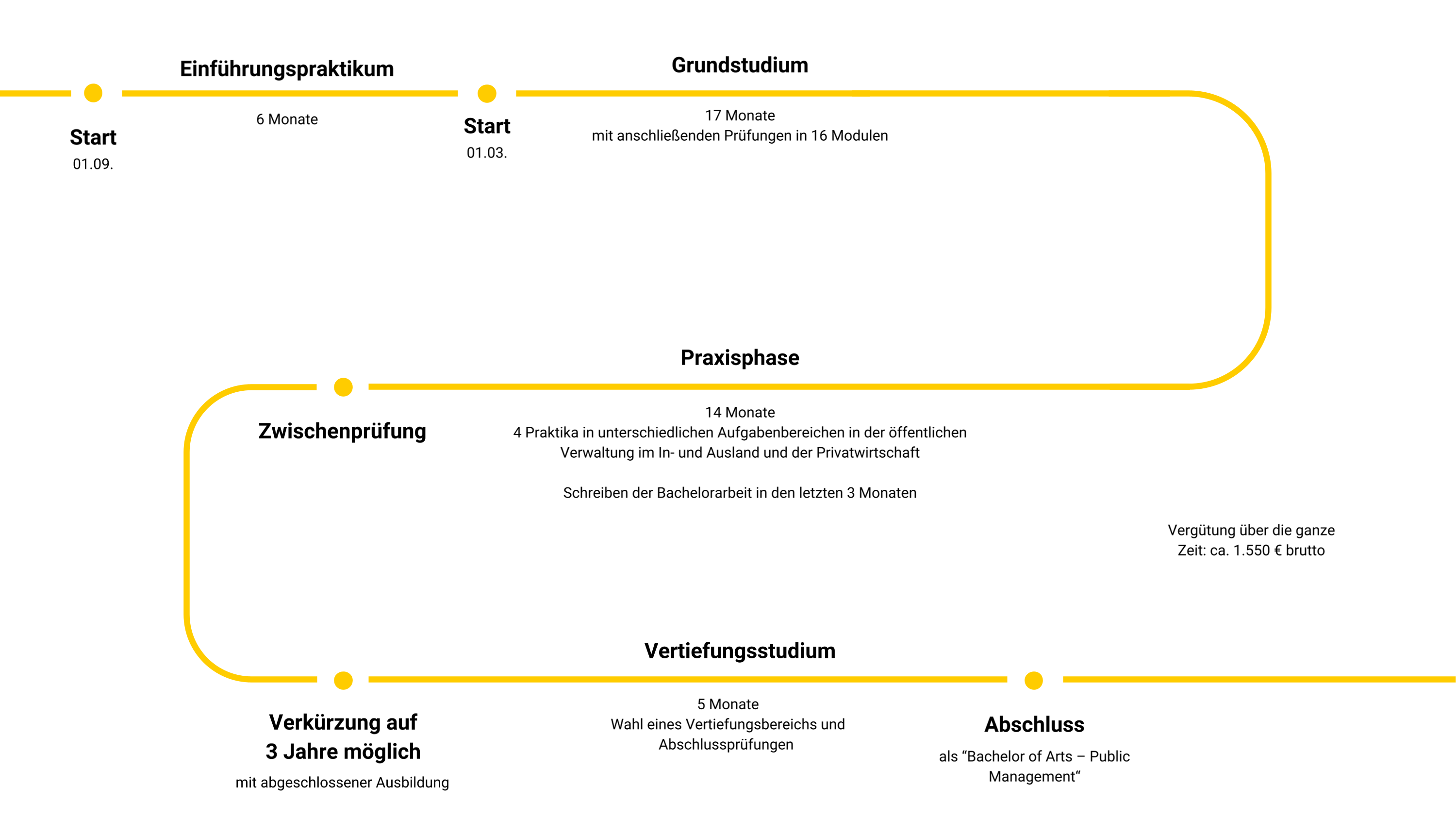 Grafik Studium Public Management Grafik zeigt Studiumsverlauf des Studiums Public Management