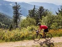 Radfahrer auf dem Fahrrad